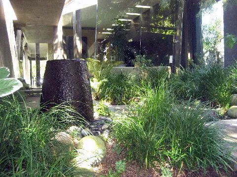 Trusted outdoor landscaping experts serving Laguna Beach, CA - Visionscape