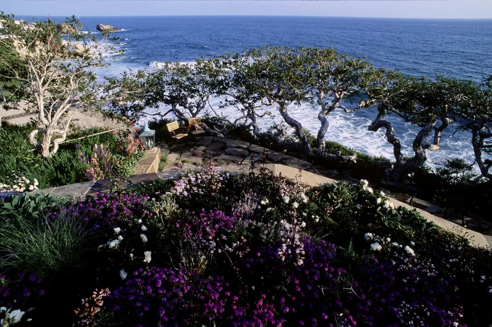 Top-rated lawn mowing service in Laguna Beach, CA - Visionscape