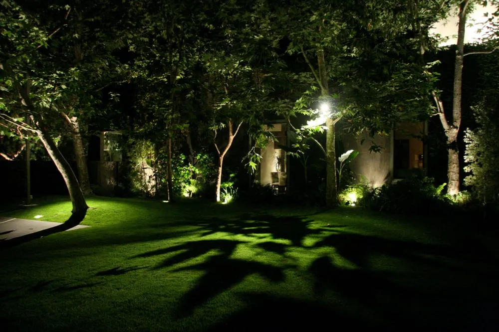 Top-rated yard cleanup service in Laguna Beach, CA by Visionscape