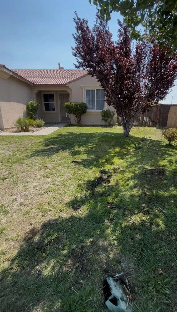 Custom yard maintenance with custom design in Victorville, CA by VisionScapes