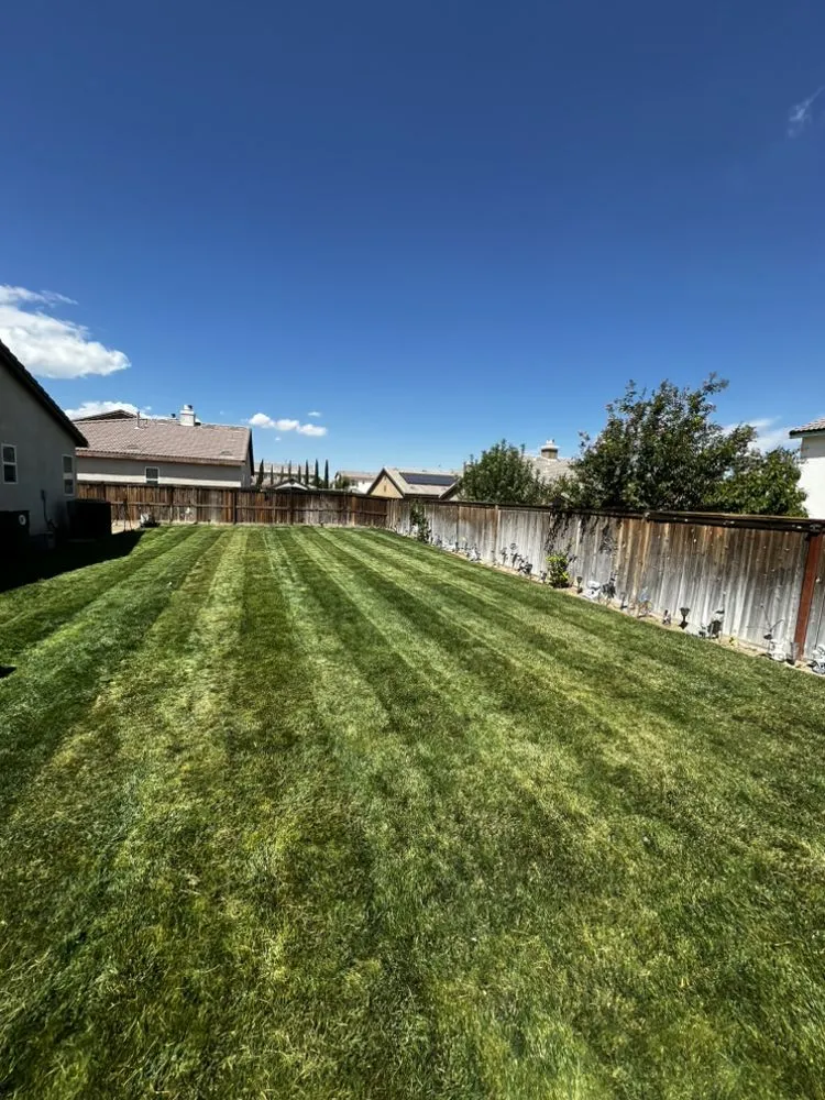 Affordable yard maintenance in Victorville, CA by VisionScapes