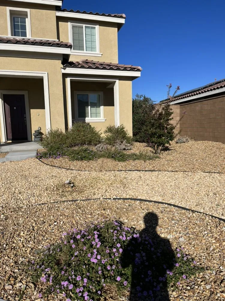 Trusted garden landscaping for residential properties in Victorville, CA by VisionScapes