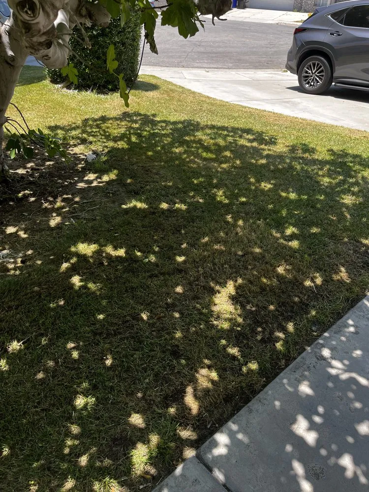 Reliable landscape installation for year-round maintenance across Victorville, CA - VisionScapes