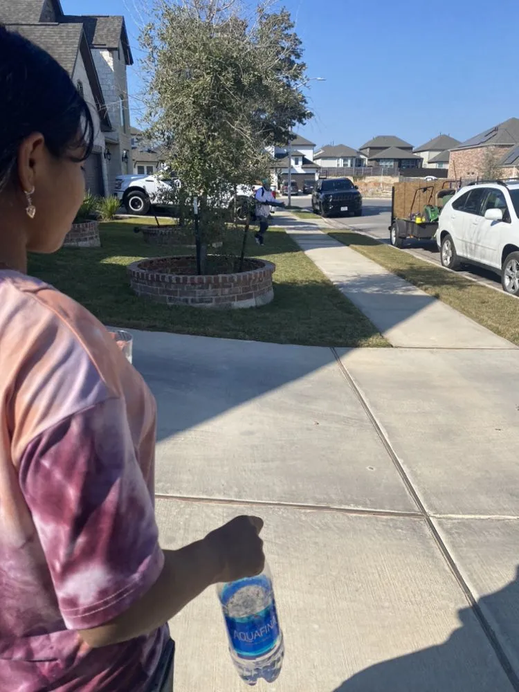 Professional lawn care service experts serving Leander, TX - Vismar Landscaping