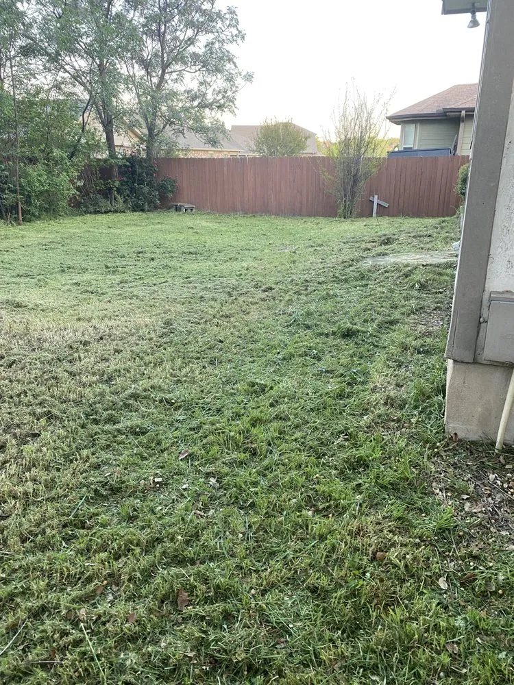 Expert residential landscaping in Leander, TX - Vismar Landscaping