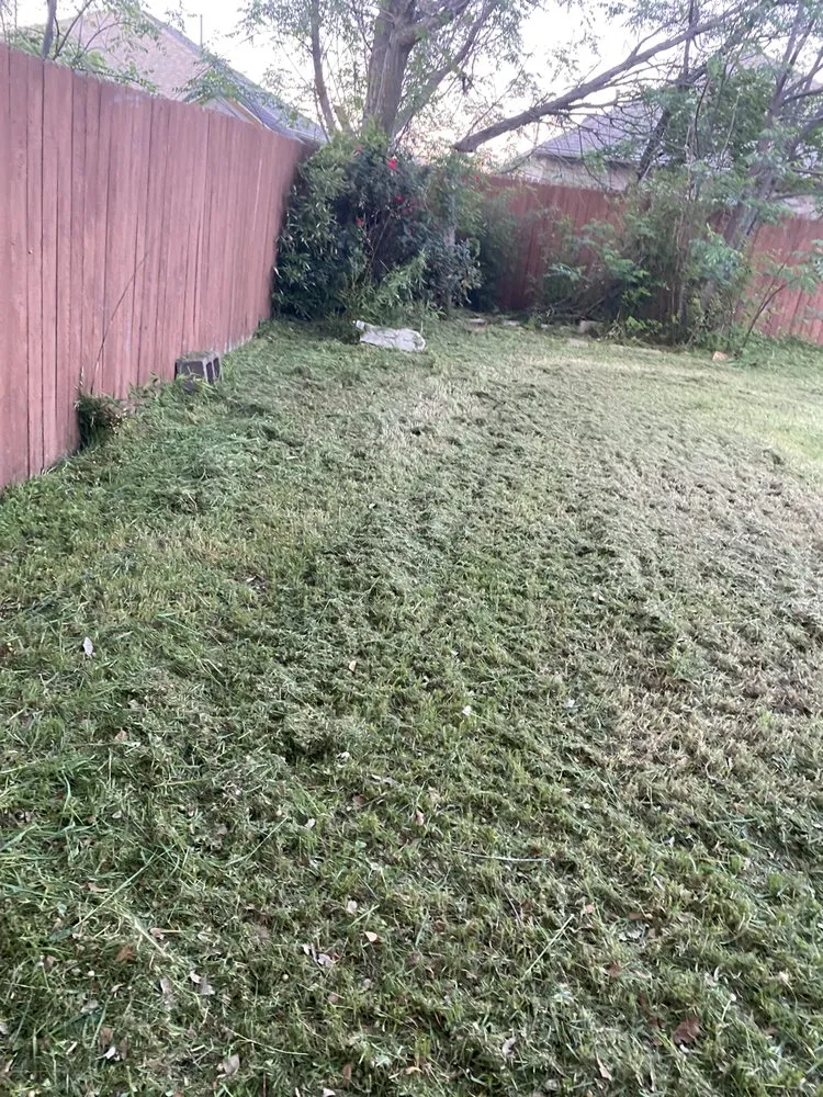 Reliable landscape design in Leander, TX by Vismar Landscaping