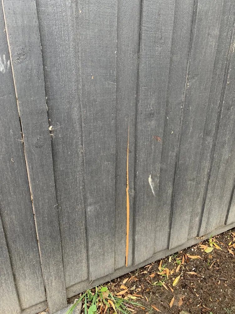 Local landscape installation in Thousand Oaks, CA by Vista Bella Tree and Landscape