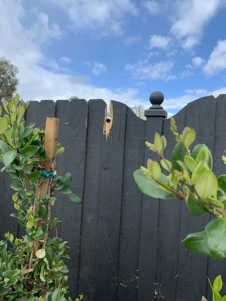 Professional residential landscaping in Thousand Oaks, CA by Vista Bella Tree and Landscape