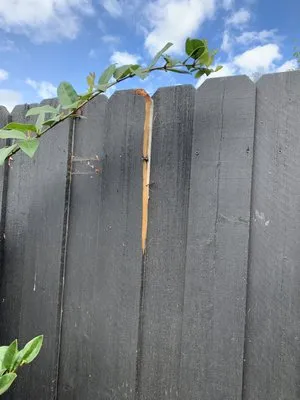 Vista Bella Tree and Landscape Logo