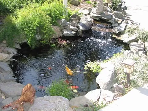 Local landscaping services in Turlock, CA by Vista Botanicals