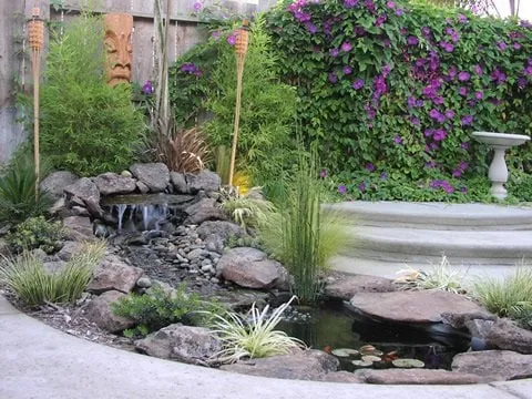 Expert landscape design with custom design across Turlock, CA - Vista Botanicals