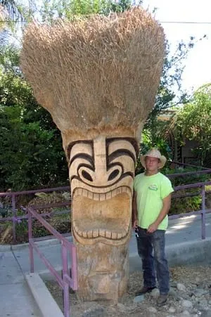 Professional lawn care service with custom design in Turlock, CA by Vista Botanicals