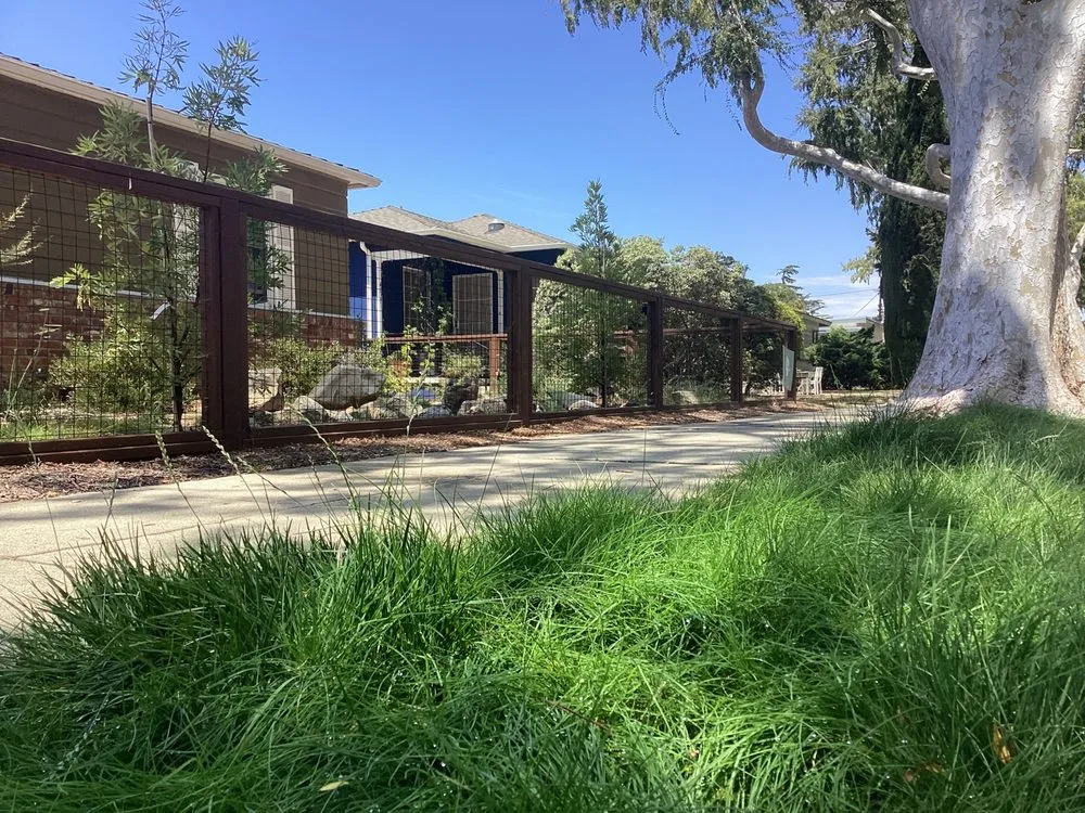 Reliable lawn care service in San Pedro, CA by Vista Dulce