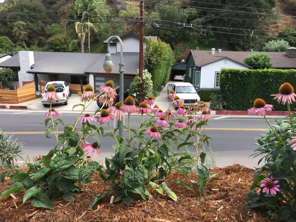 Trusted outdoor landscaping in San Pedro, CA by Vista Dulce