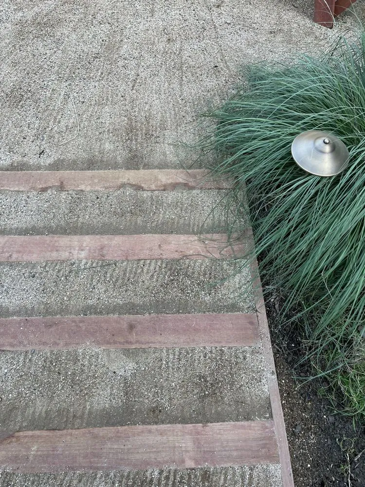 Trusted outdoor landscaping experts serving San Pedro, CA - Vista Dulce