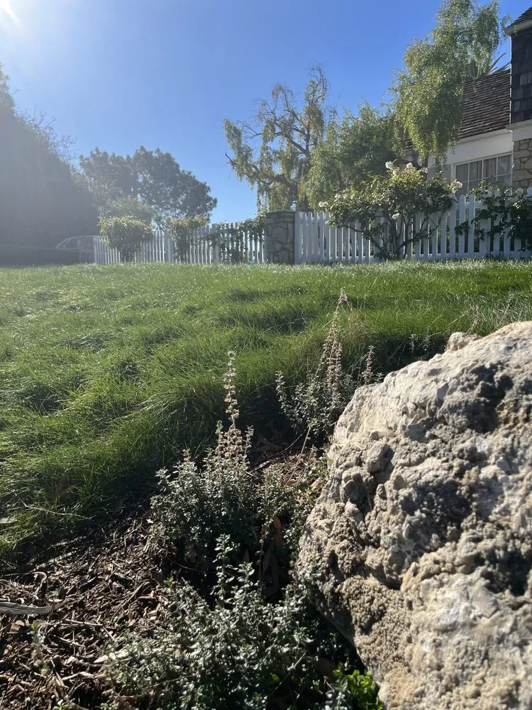 Affordable landscaping services near you in San Pedro, CA by Vista Dulce
