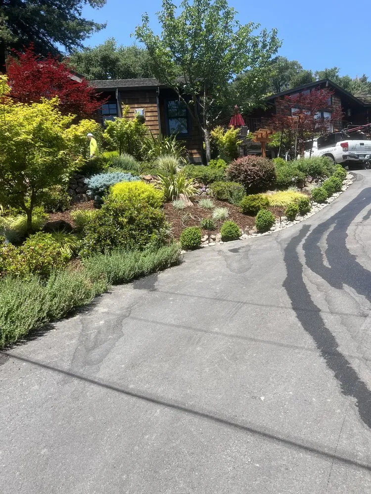Custom residential landscaping for year-round maintenance in Concord, CA by Vista Green Landscape
