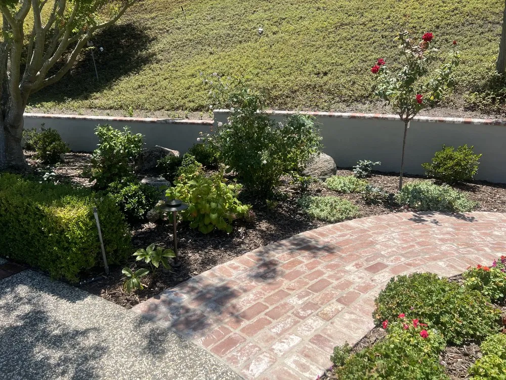 Local landscaping services in Concord, CA - Vista Green Landscape
