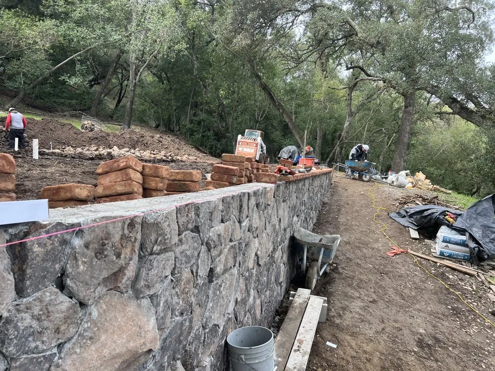 Top-rated outdoor landscaping for beautiful yards in Concord, CA by Vista Green Landscape