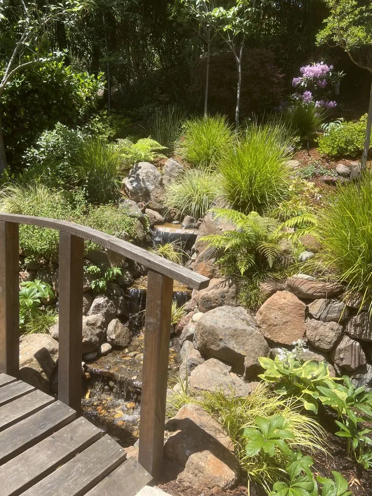 Top-rated yard cleanup service experts serving Concord, CA - Vista Green Landscape