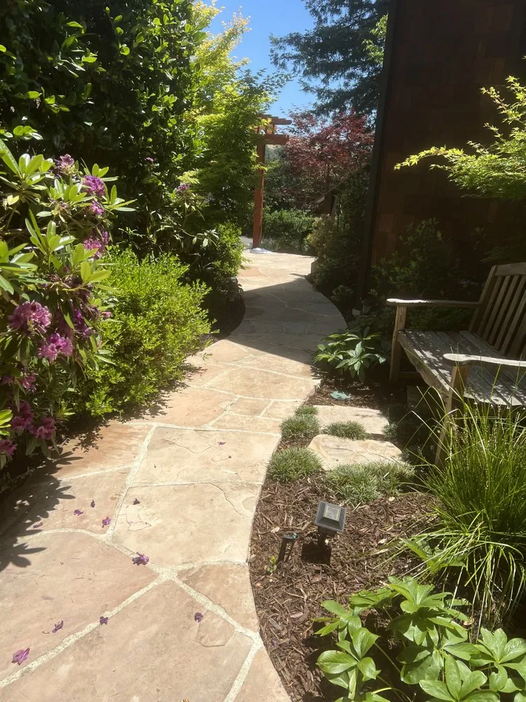 Custom lawn mowing service for year-round maintenance in Concord, CA by Vista Green Landscape