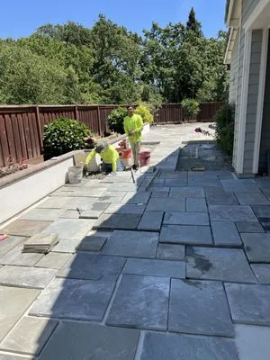 Vista Green Landscape Logo