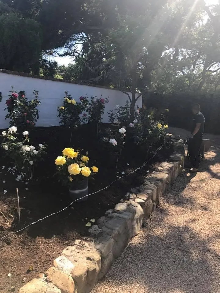 Affordable landscaping services near you in Santa Barbara, CA by Vista Hermosa Landscapes