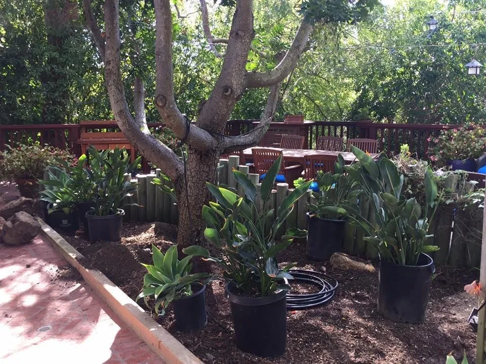 Professional outdoor landscaping for outdoor upgrades across Santa Barbara, CA - Vista Hermosa Landscapes