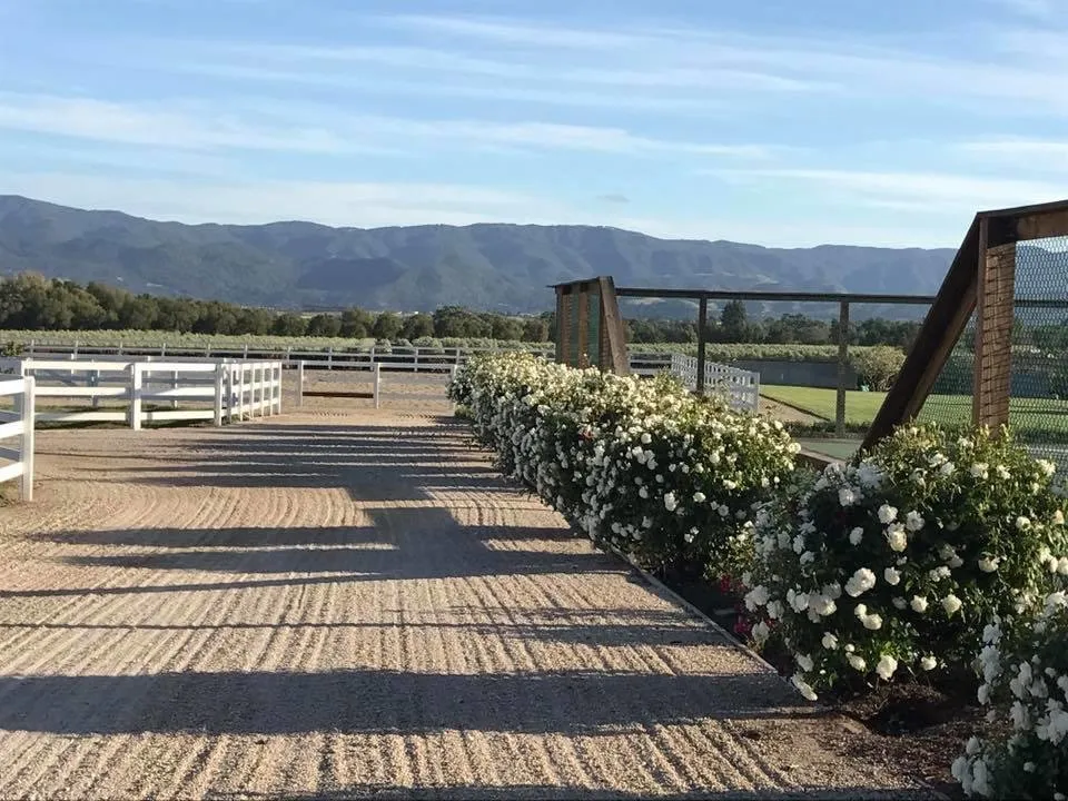 Reliable landscape design for beautiful yards across Santa Barbara, CA - Vista Hermosa Landscapes