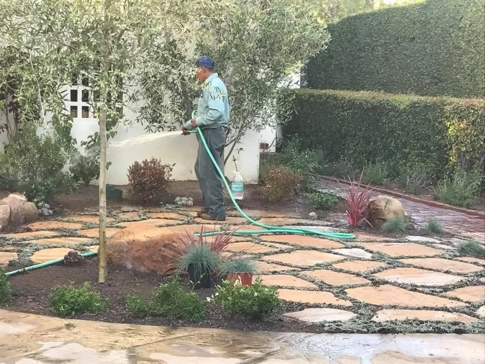 Professional lawn care service in Santa Barbara, CA - Vista Hermosa Landscapes