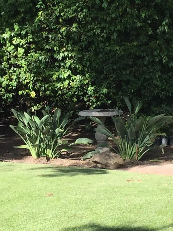 Affordable landscape installation experts serving Santa Barbara, CA - Vista Hermosa Landscapes