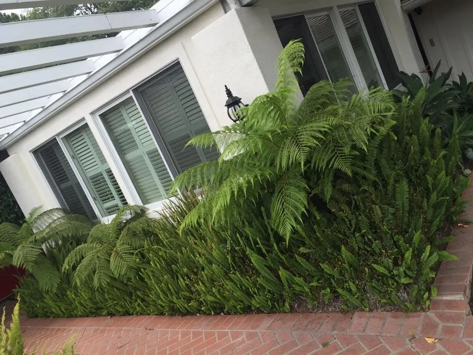 Reliable landscape installation for beautiful yards in Santa Barbara, CA by Vista Hermosa Landscapes