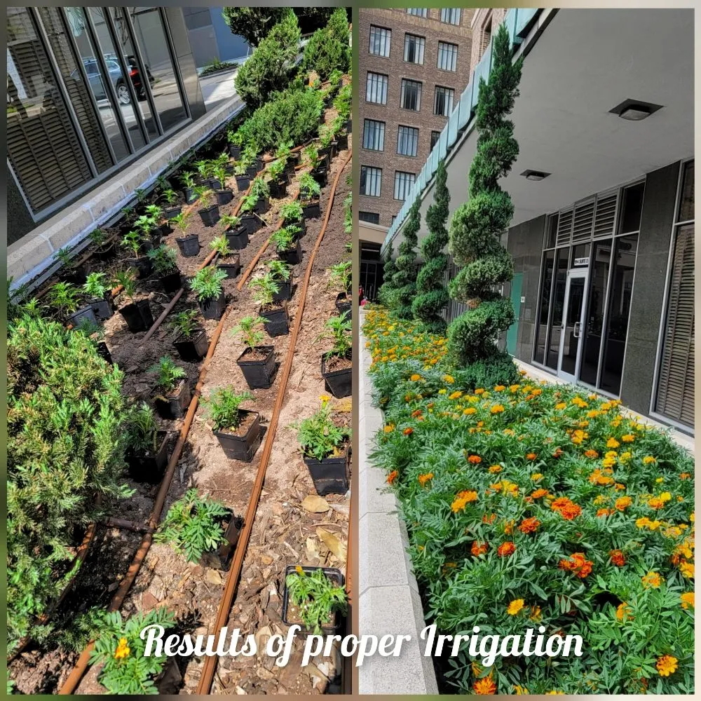 Top-rated landscape installation in Spring, TX - Vista Irrigation & Lighting