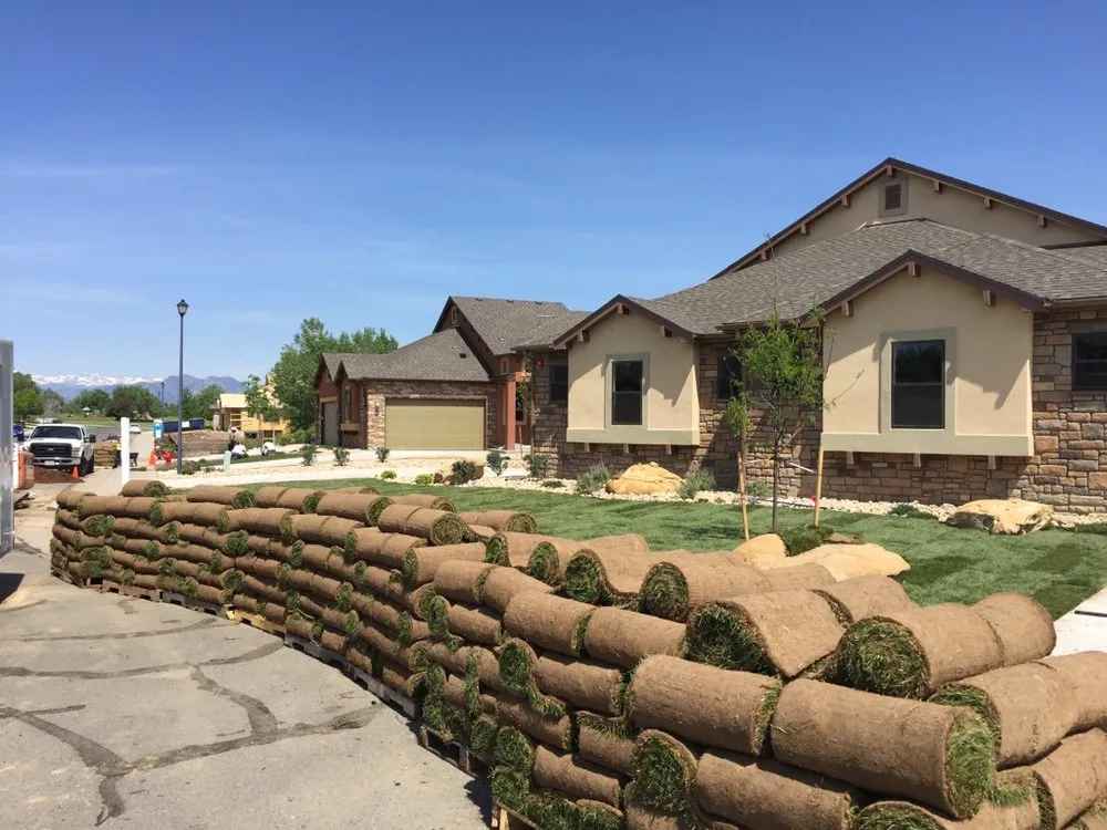Expert lawn mowing service in Westminster, CO by Vista Landscape Development