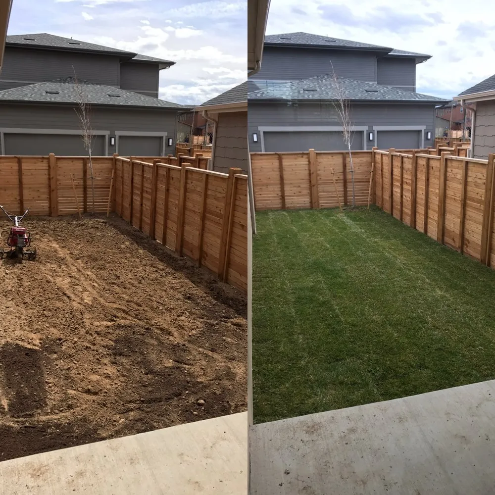 Affordable yard cleanup service in Westminster, CO by Vista Landscape Development