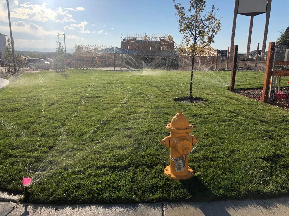 Professional landscaping services experts serving Westminster, CO - Vista Landscape Development