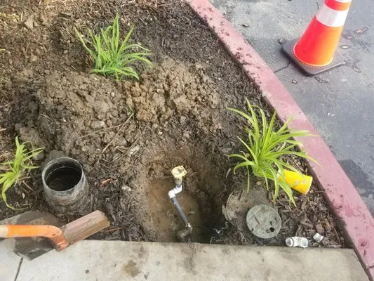 Vista Landscape Management Logo