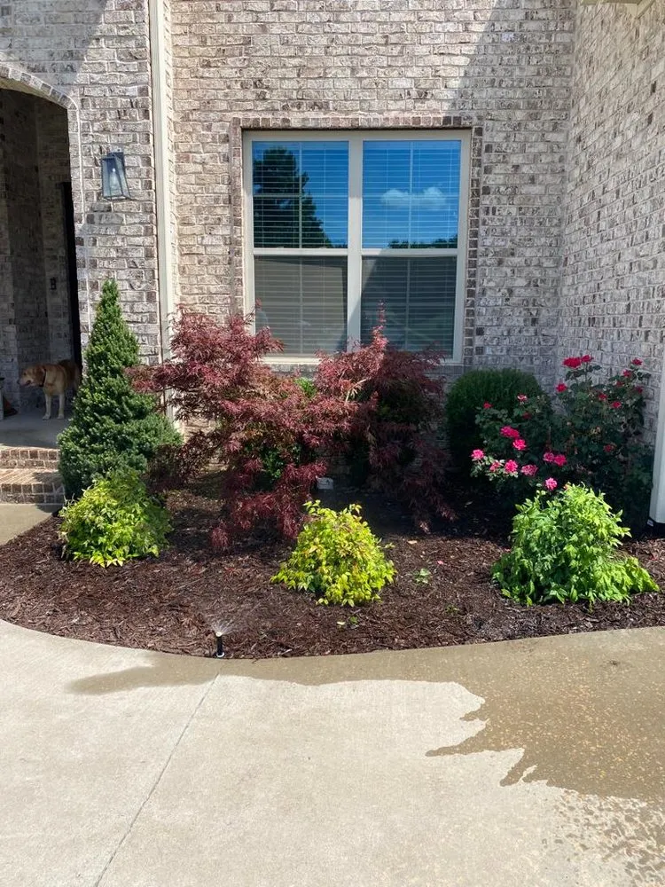 Expert lawn mowing service experts serving Springdale, AR - Vista Landscape Management