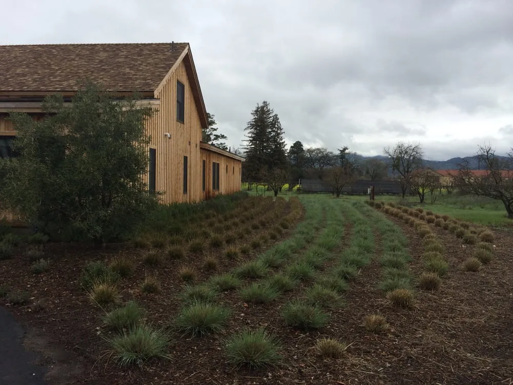Affordable landscape design with custom design across Sonoma, CA - Vista Landscape