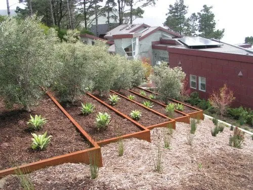 Custom lawn care service experts serving Sonoma, CA - Vista Landscape