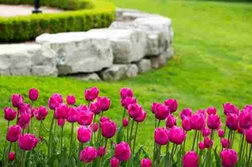 Reliable yard cleanup service for year-round maintenance across Utica, MI - Vista Landscapes