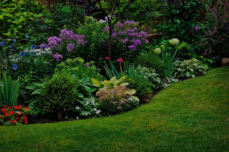 Local landscape design for residential properties in Beaufort, SC by Vista Landscaping