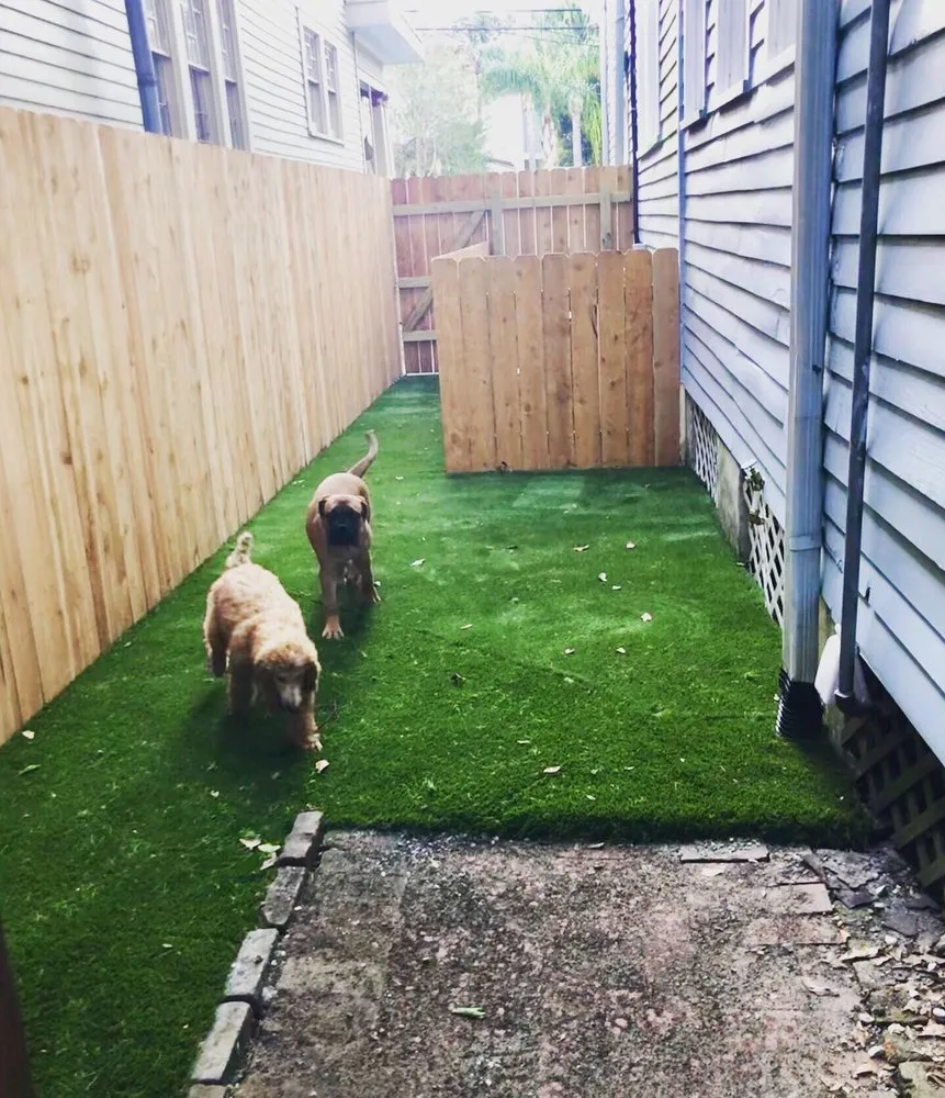 Local yard maintenance in New Orleans, LA by Vista Landscaping