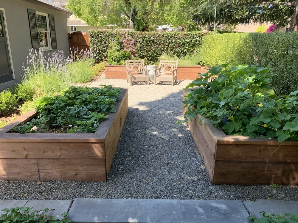 Top-rated yard cleanup service in San Mateo, CA - Vista Landscaping