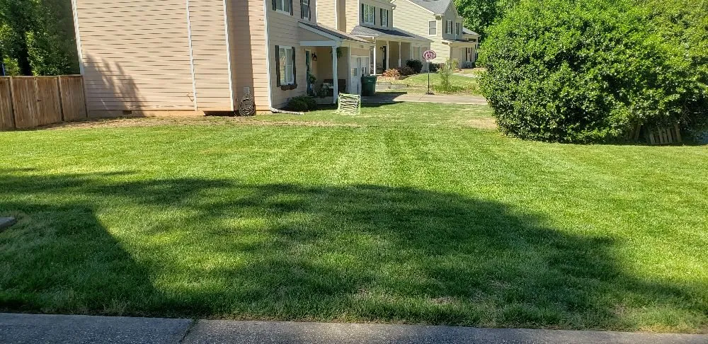 Trusted landscape design for outdoor upgrades across Roswell, GA - Vista Landscaping Services