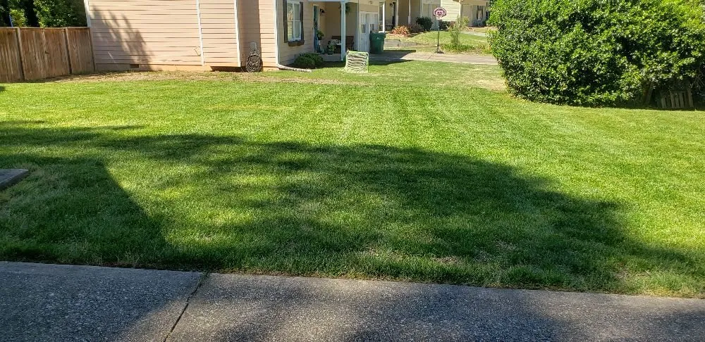 Local yard cleanup service in Roswell, GA by Vista Landscaping Services