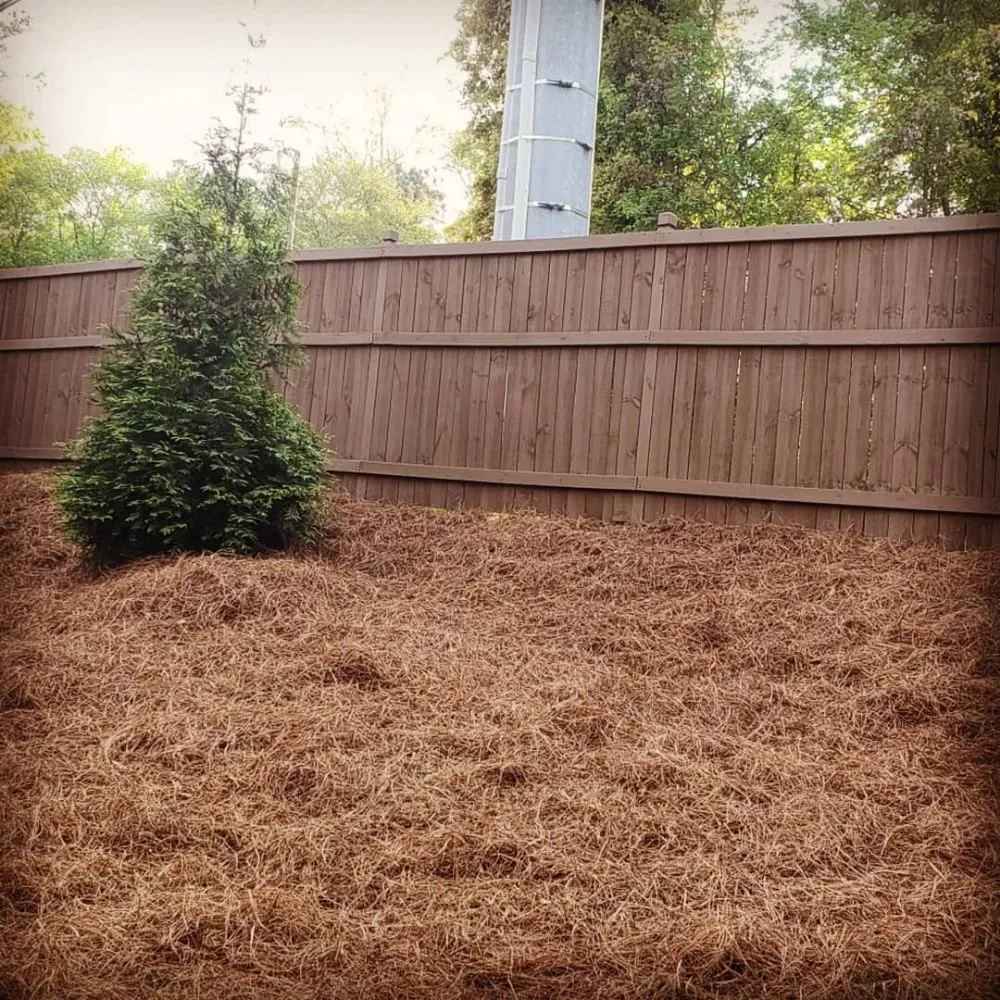 Trusted lawn mowing service in Roswell, GA - Vista Landscaping Services