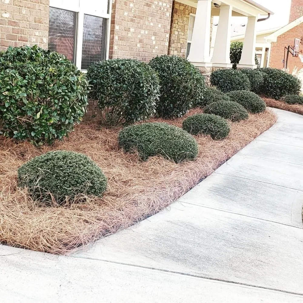 Affordable landscaping services experts serving Roswell, GA - Vista Landscaping Services