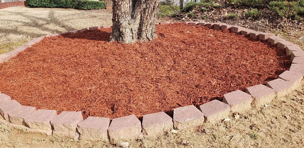 Reliable yard maintenance in Roswell, GA - Vista Landscaping Services