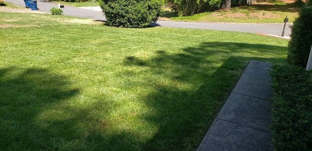 Trusted residential landscaping in Roswell, GA by Vista Landscaping Services